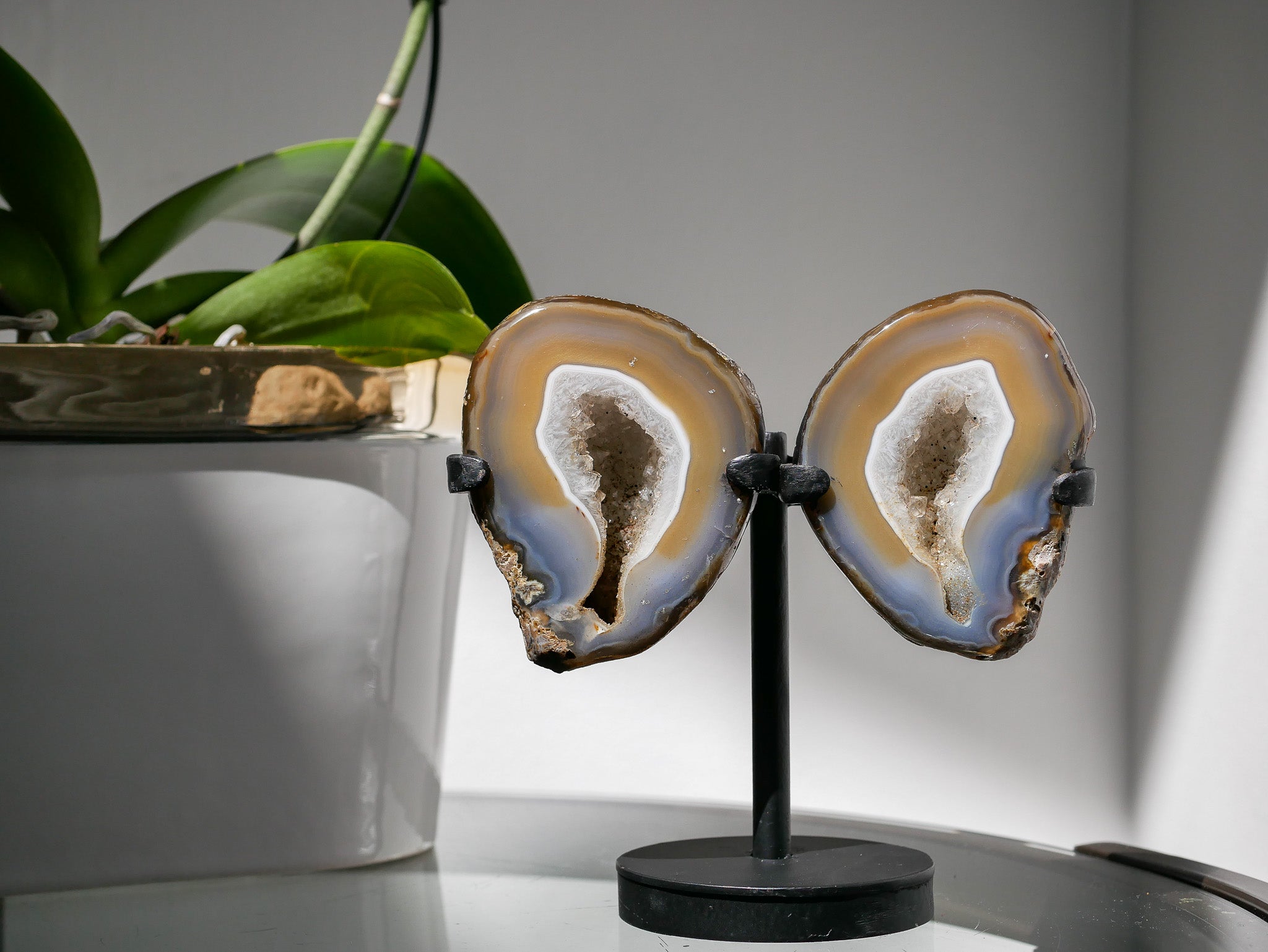 Two agate slices on a stand with a plant in the background