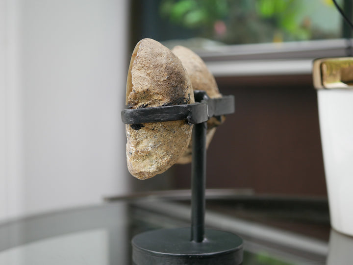Natural Agate Geode Wings on Stand