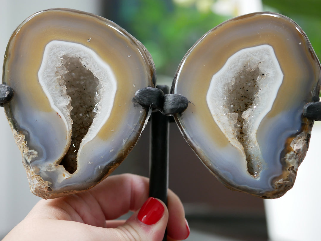 Natural Agate Geode Wings on Stand