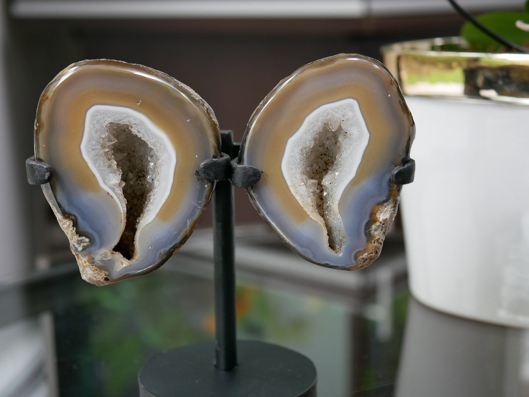 Natural Agate Geode Wings on Stand