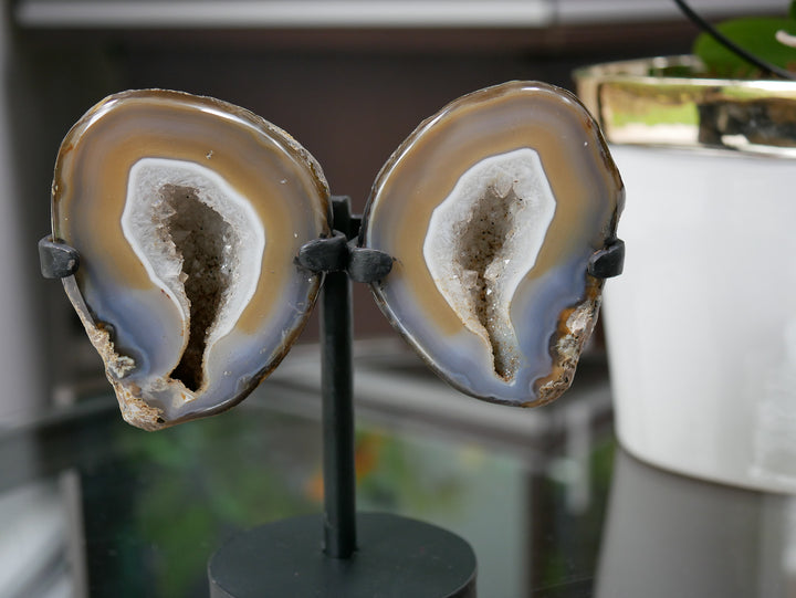 Natural Agate Geode Wings on Stand