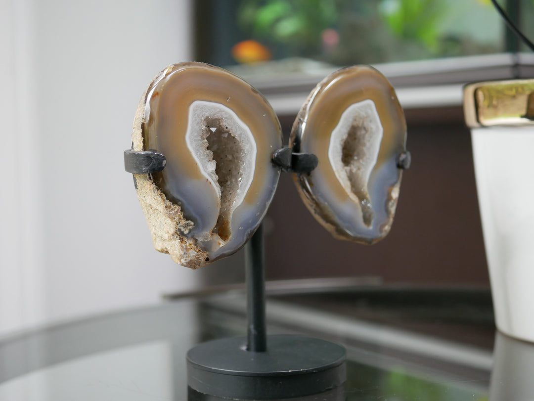 Natural Agate Geode Wings on Stand