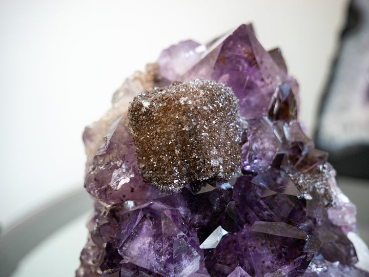 Stunning Amethyst Cluster with Iron Oxide Sugar Druzy