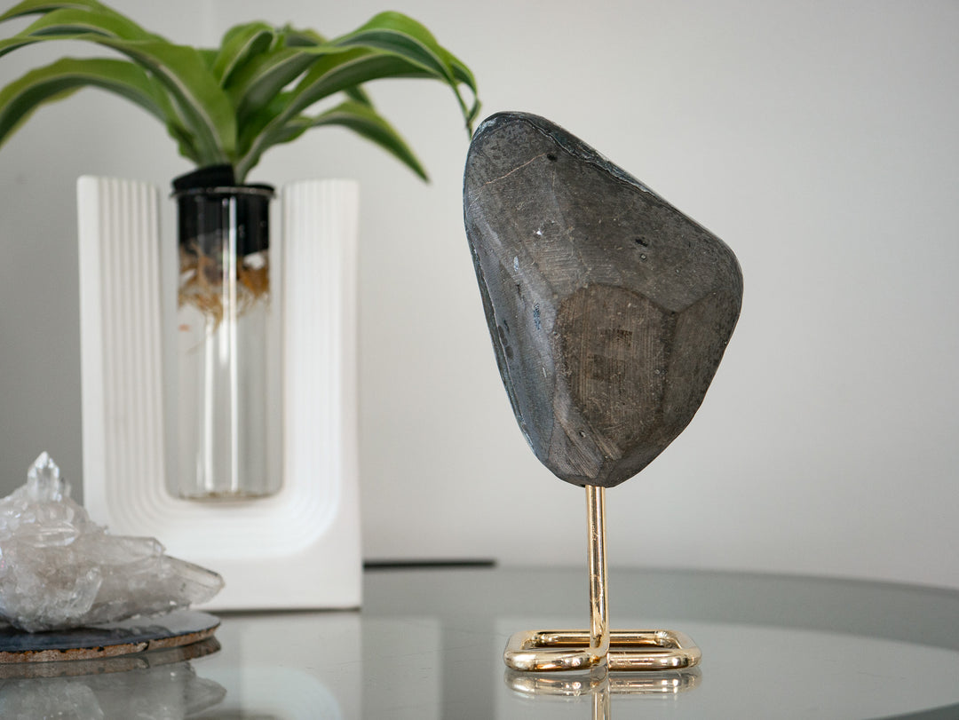 Black Amethyst on Stand