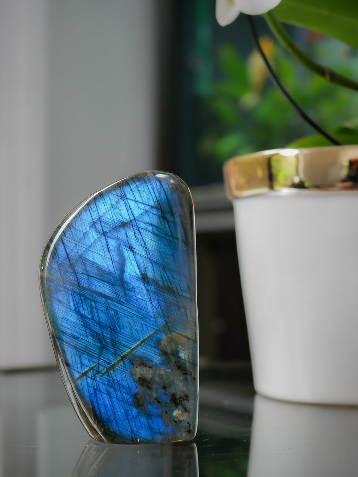Premium Flashy Labradorite Free Form | Intuition &amp; Transformation