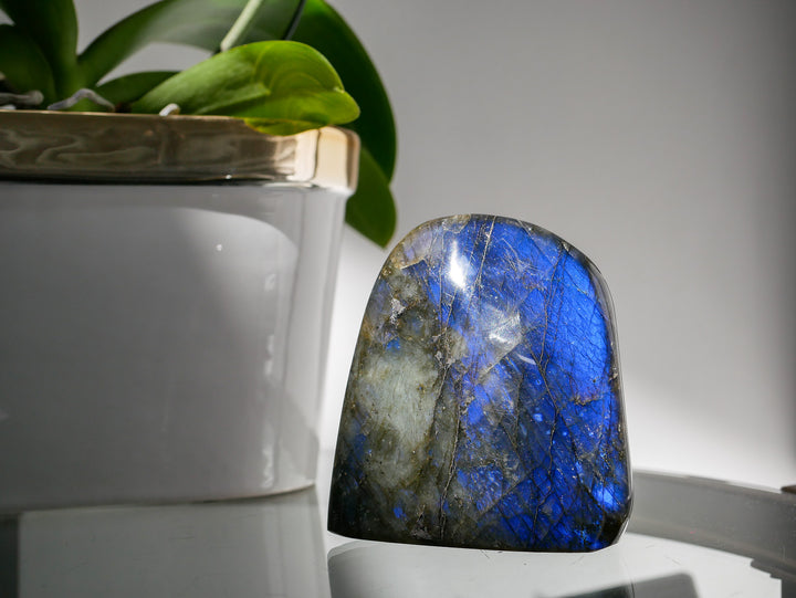 Premium Flashy Purple Labradorite Free Form | Intuition &amp; Transformation