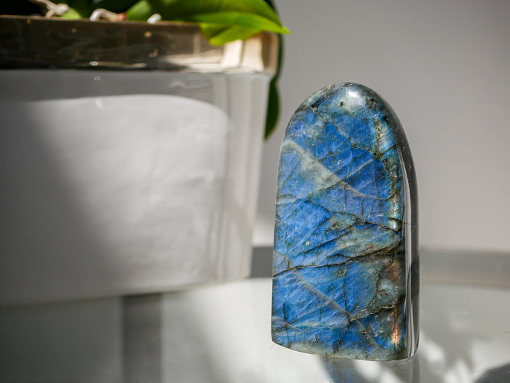 Premium Flashy Labradorite Free Form | Intuition &amp; Transformation