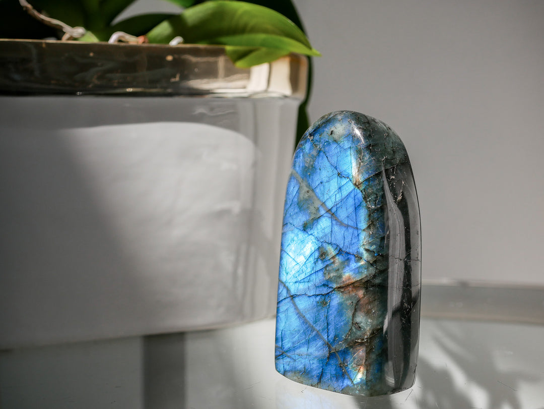 Premium Flashy Labradorite Free Form | Intuition &amp; Transformation