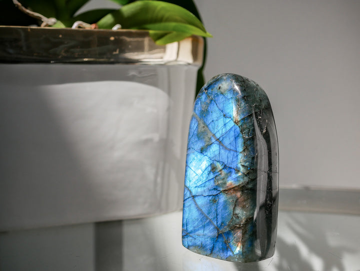 Premium Flashy Labradorite Free Form | Intuition &amp; Transformation