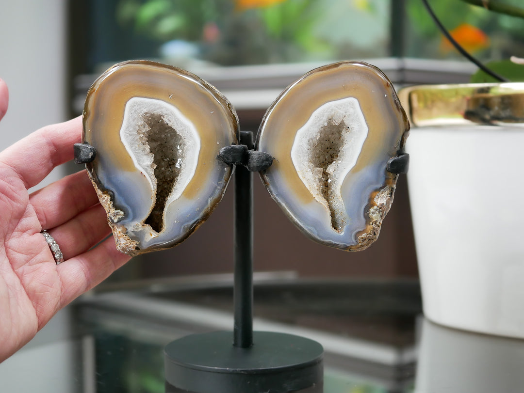 Natural Agate Geode Wings on Stand