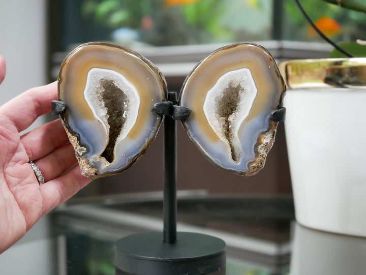 Natural Agate Geode Wings on Stand