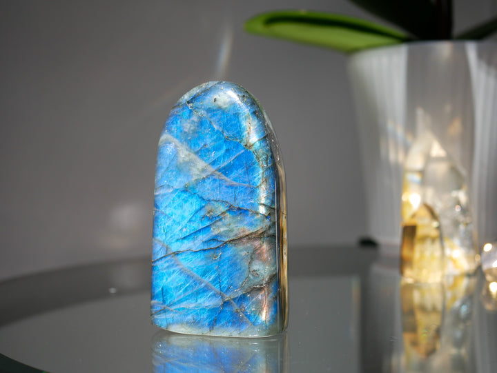 Premium Flashy Labradorite Free Form | Intuition & Transformation