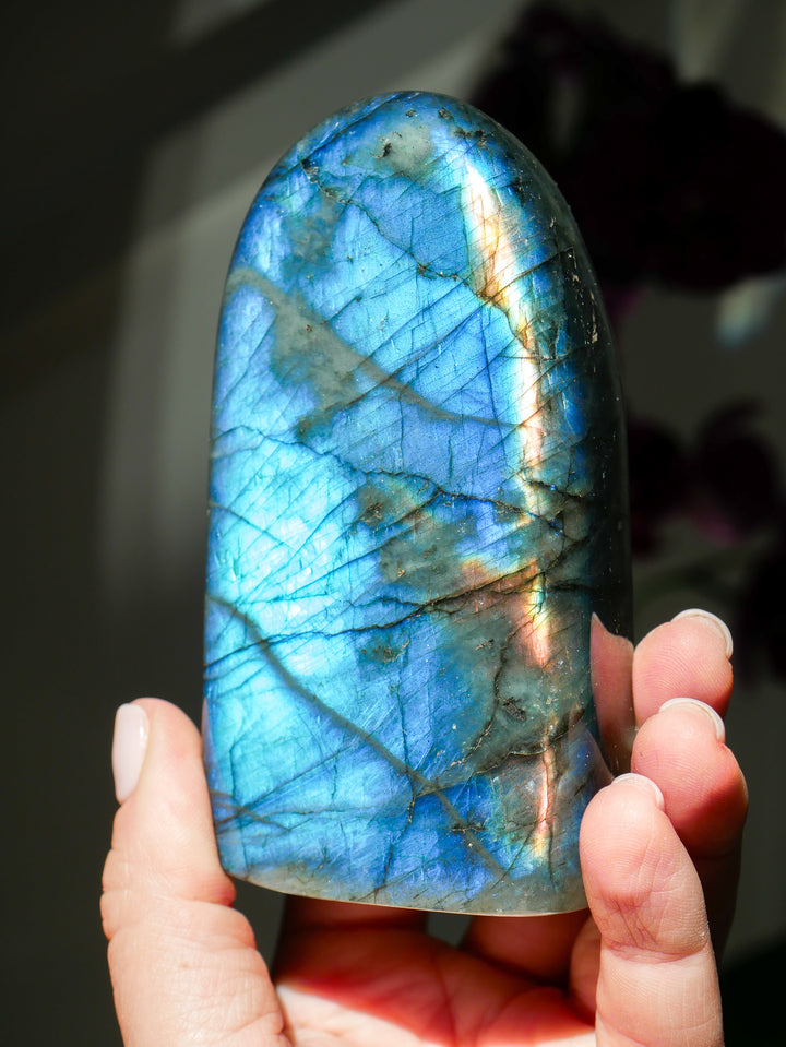 Premium Flashy Labradorite Free Form | Intuition & Transformation