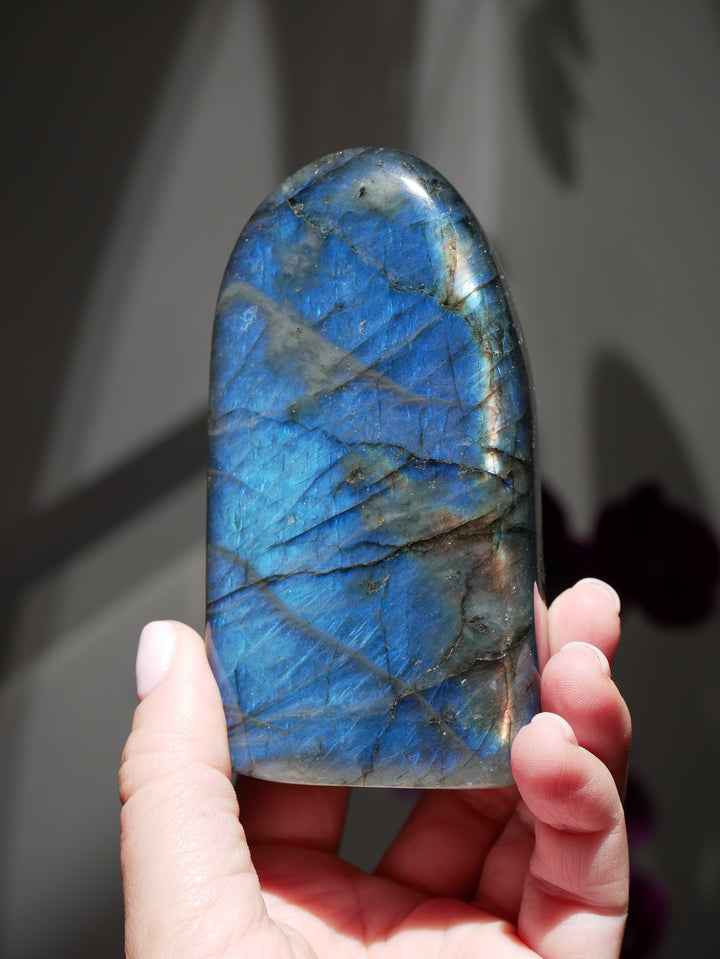 Premium Flashy Labradorite Free Form | Intuition & Transformation
