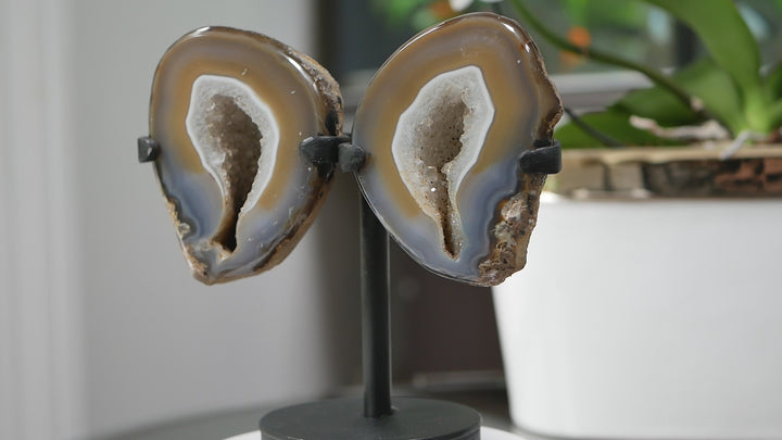 Natural Agate Geode Wings on Stand